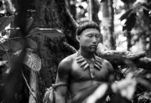 5 filmes que tratam de questões indígenas que você precisa assistir