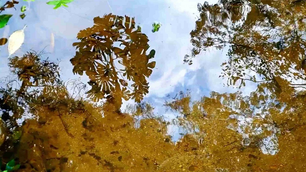 Como era o pensamento antes de existir a palavra