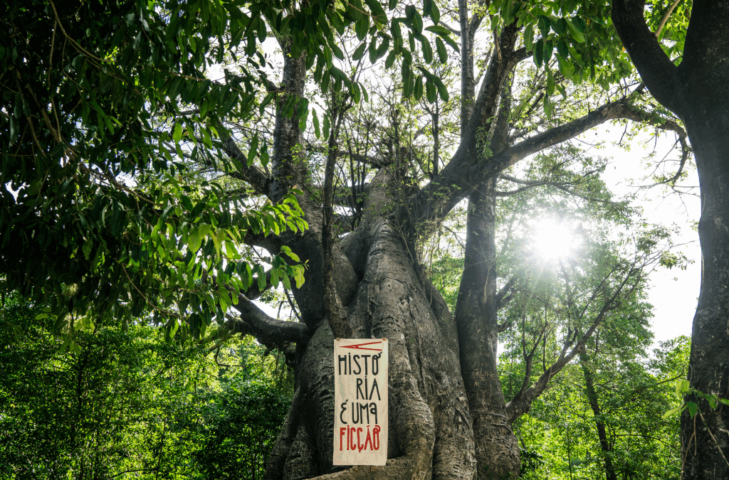 Palavra, imagem e memória na obra de Maré de Matos