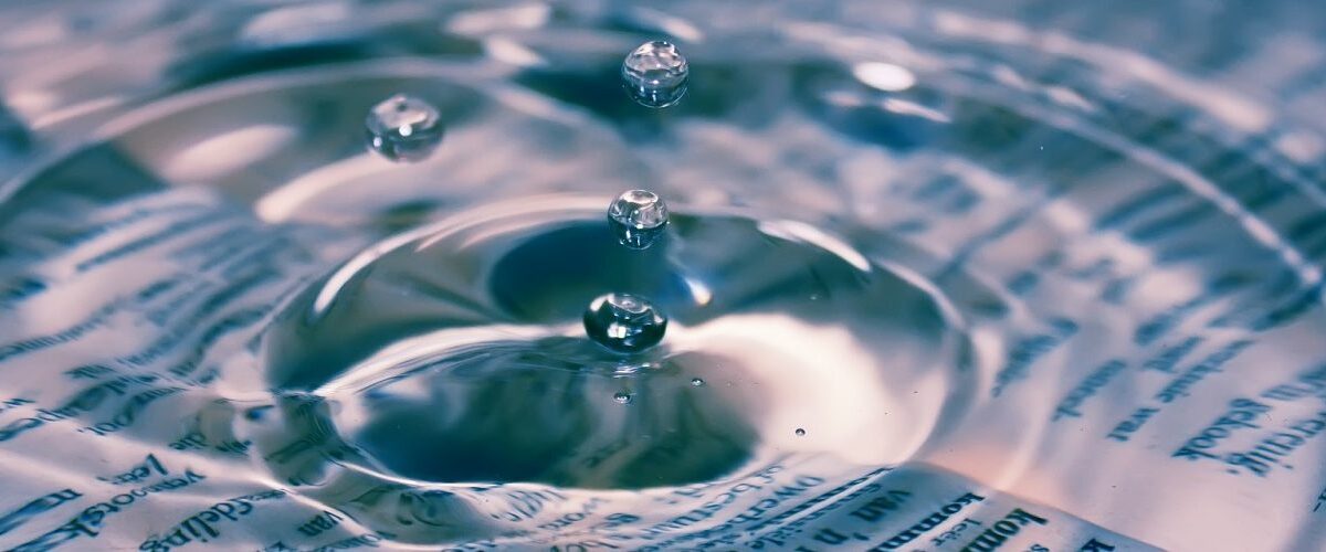 NA FLORESTA DE IMAGENS: da réplica à recombinação algorítmica.