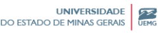 LOGO-UEMG2020